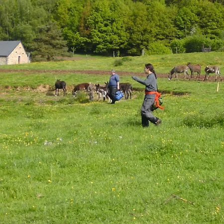 La Hulotte Gite Rural Holiday home Yvoir