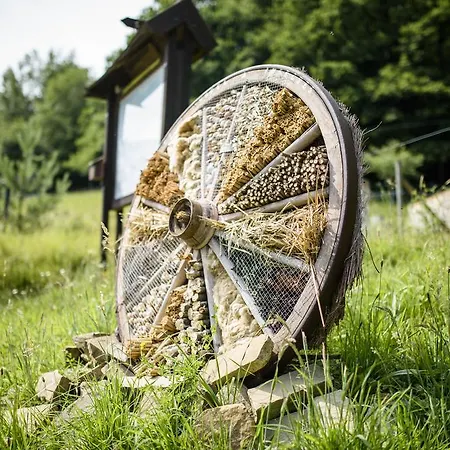 Casa vacanze La Hulotte Rural *